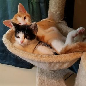 Meet your Posher, Brandy